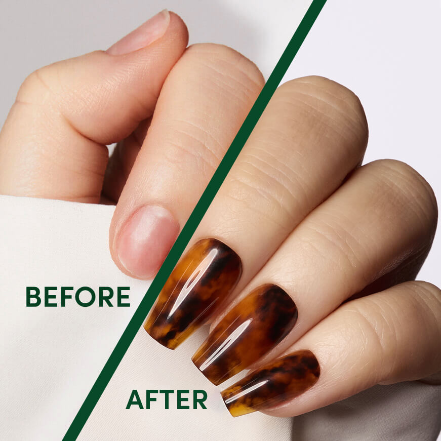 Toasty Tortie - Ballerina