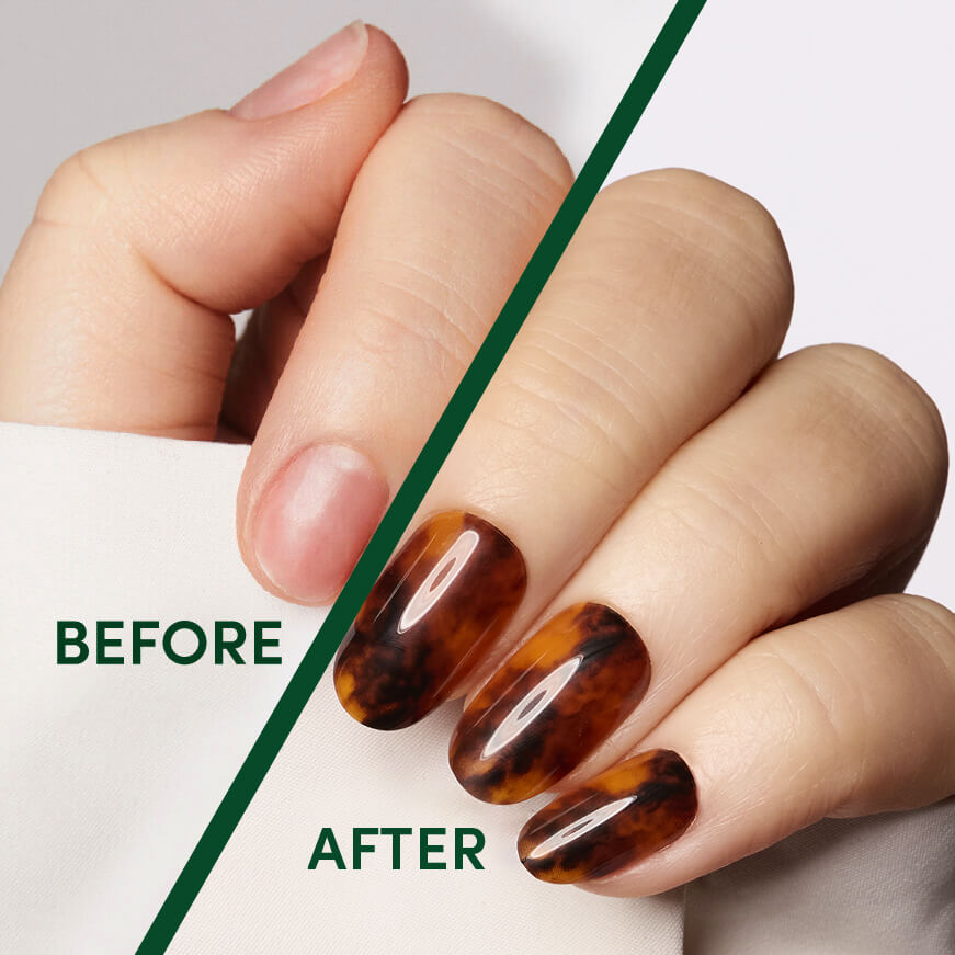 Toasty Tortie - Oval