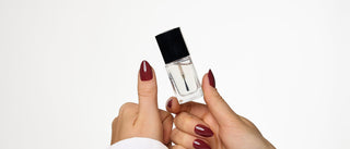 Top Coat Guide