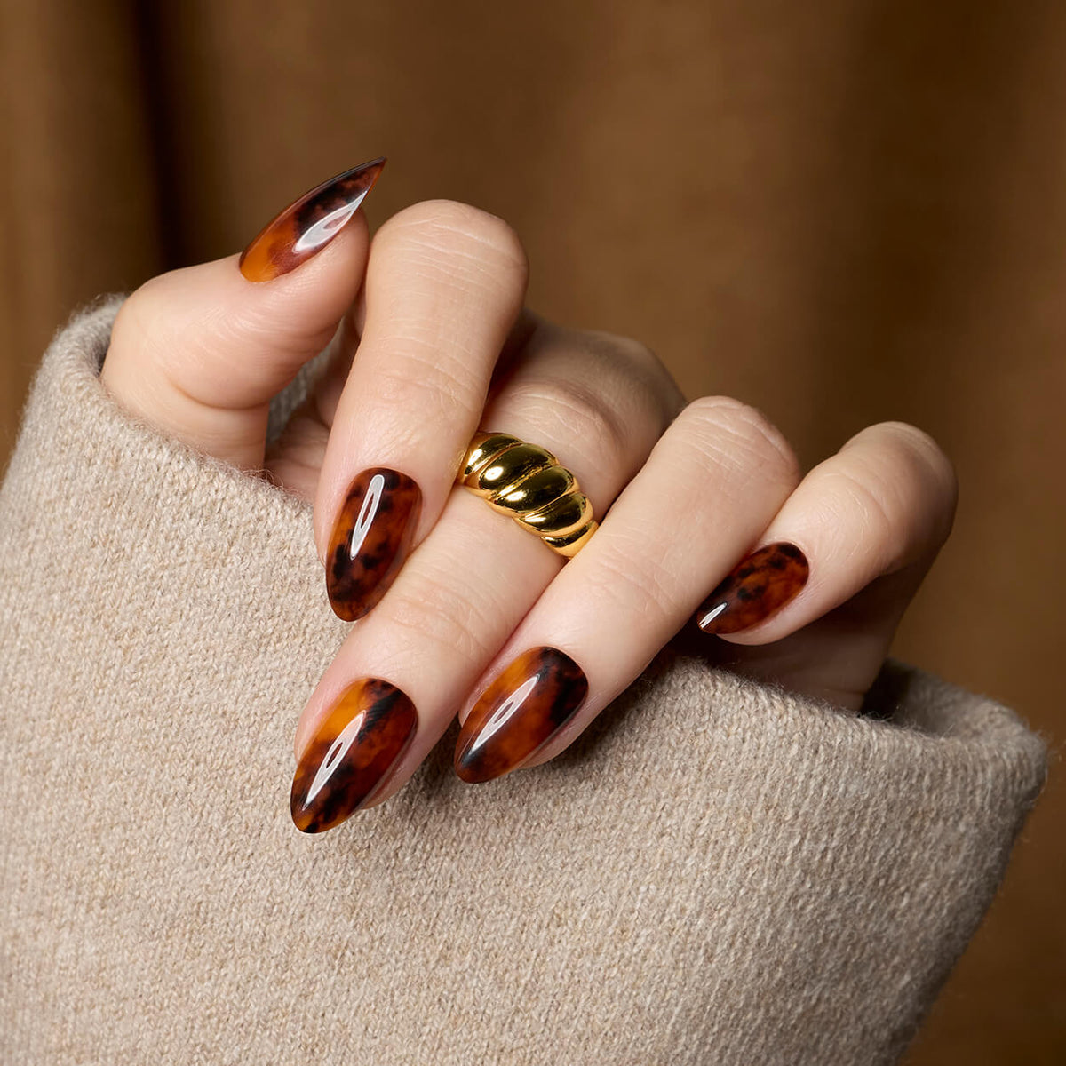 Toasty Tortie - Almond