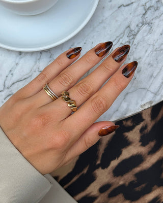 Toasty Tortie - Almond