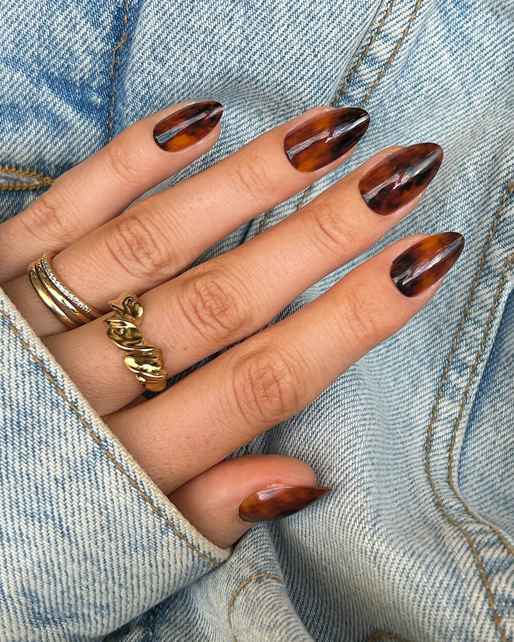 Toasty Tortie - Almond