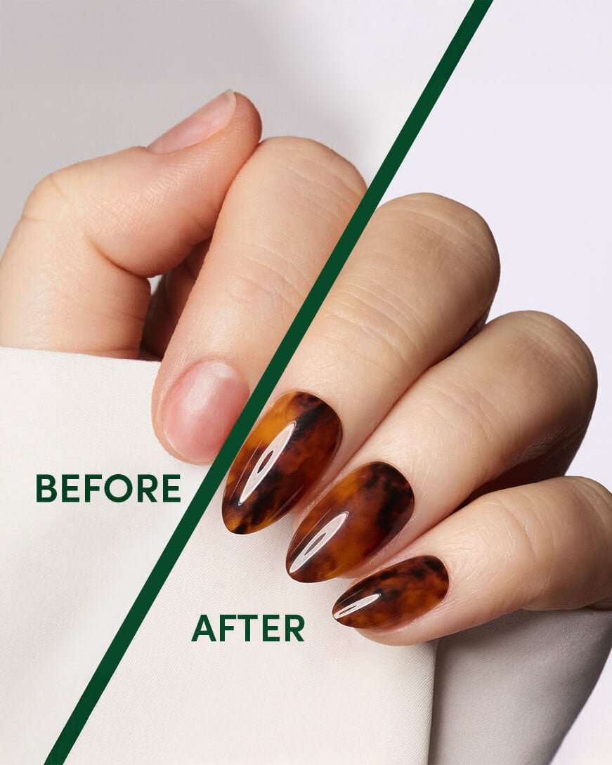 Toasty Tortie - Almond