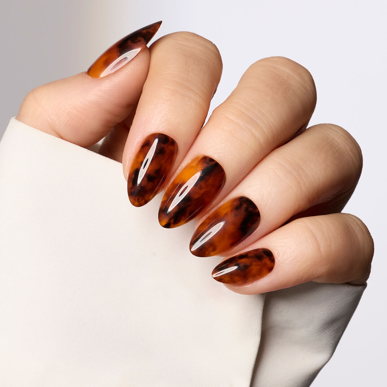 Toasty Tortie - Almond