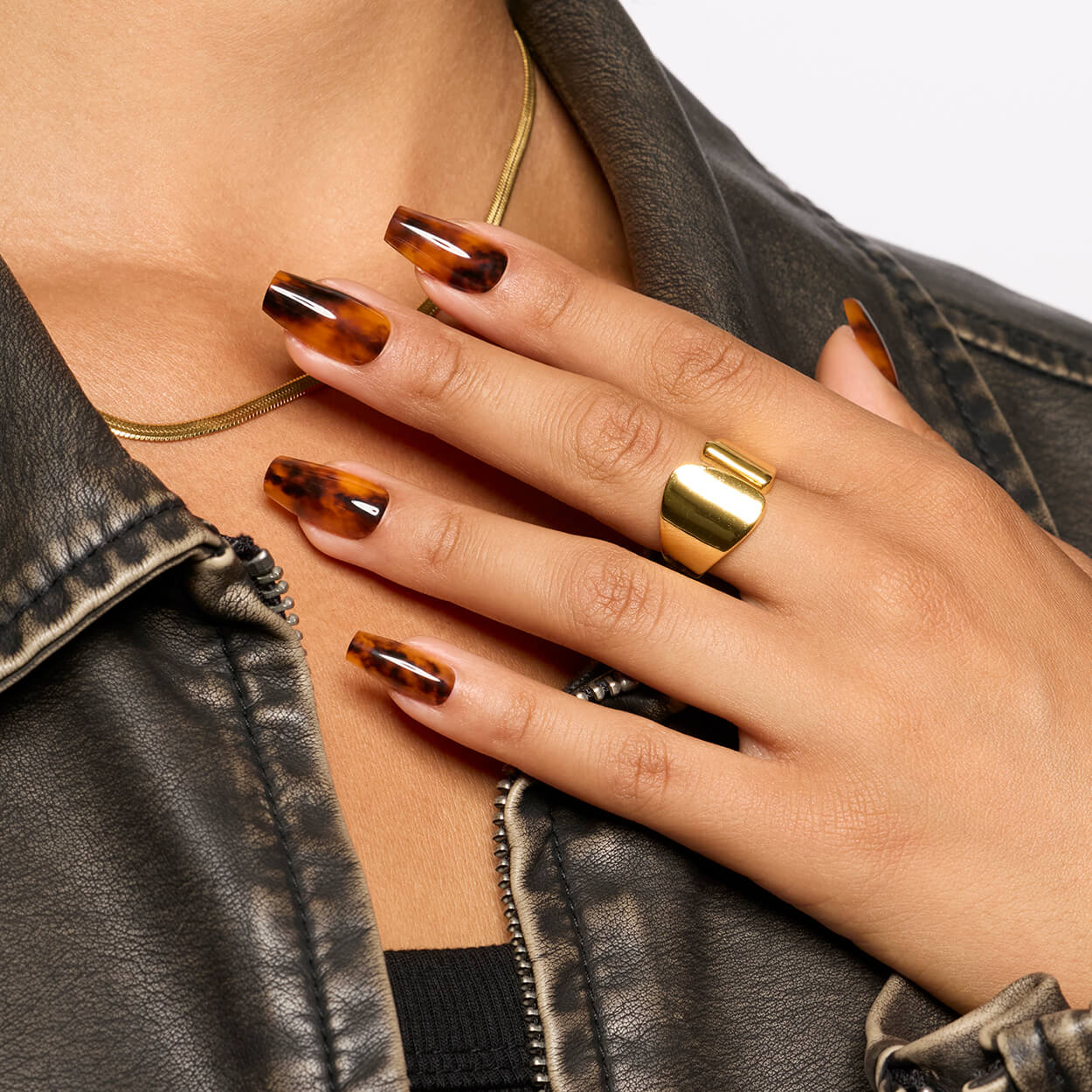 Toasty Tortie - Ballerina