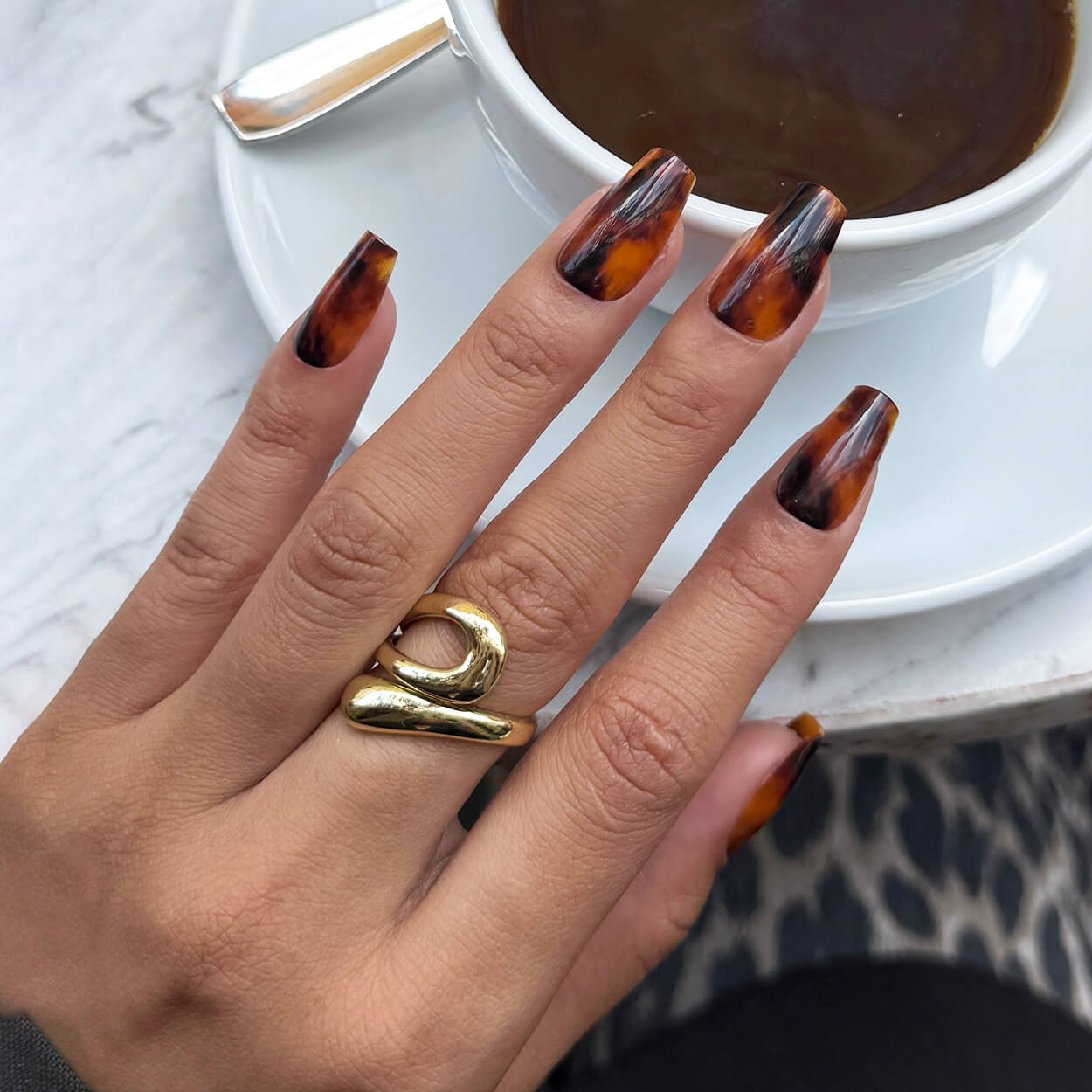 Toasty Tortie - Ballerina