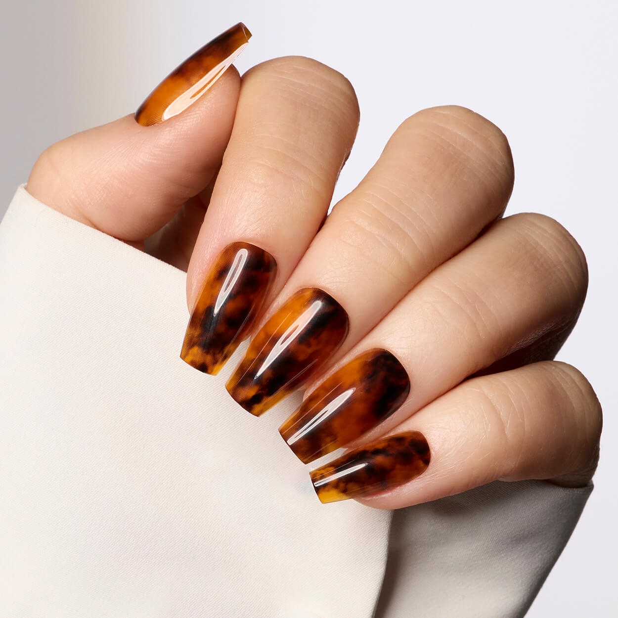 Toasty Tortie - Ballerina