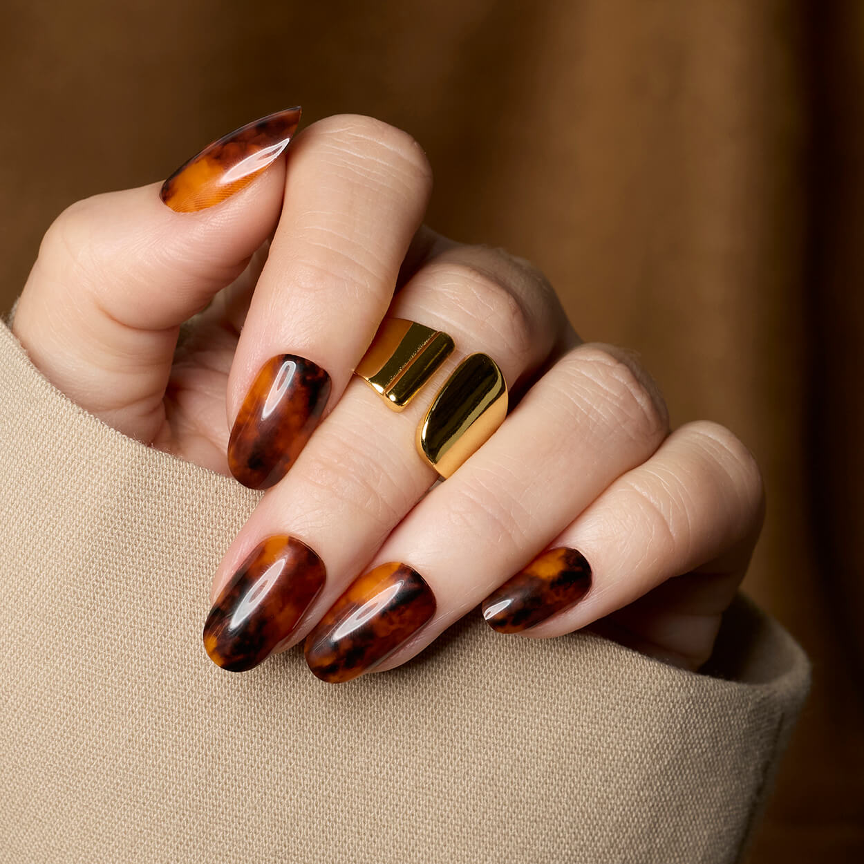 Toasty Tortie - Oval