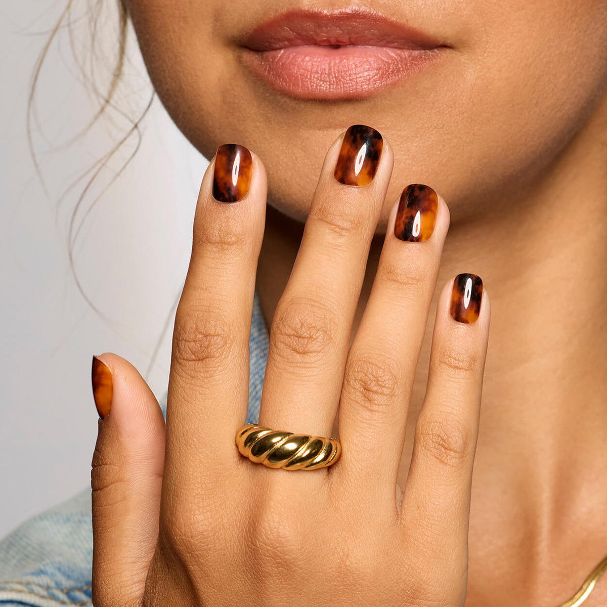 Toasty Tortie - Square