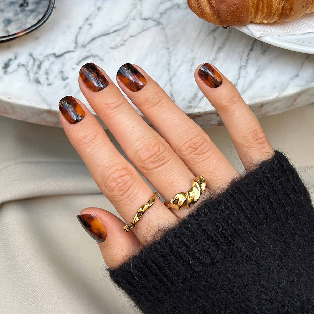 Toasty Tortie - Square