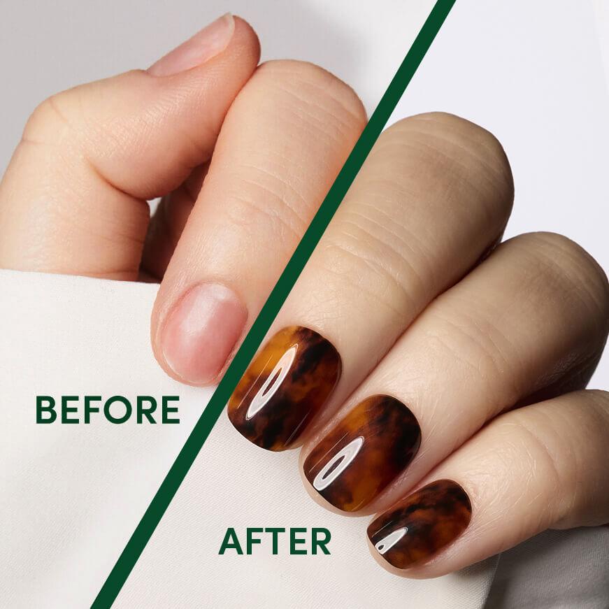 Toasty Tortie - Square